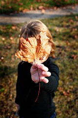 IMG_1267