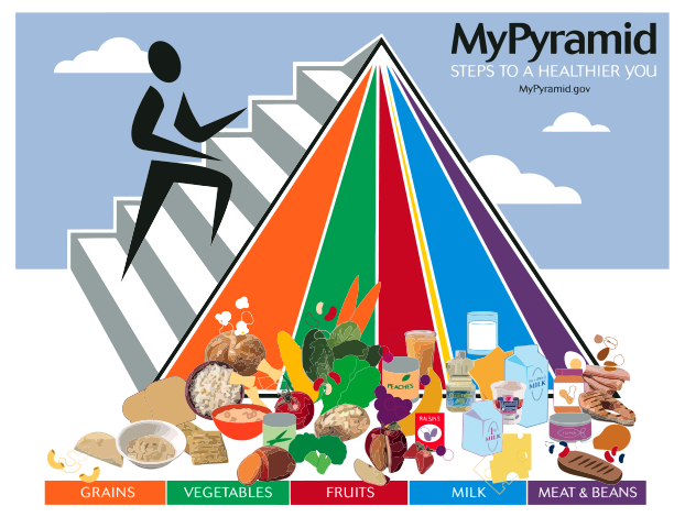 Teach Healthy Meal Planning to Kids?